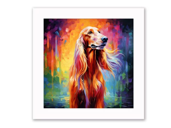 Afghan hound framed print